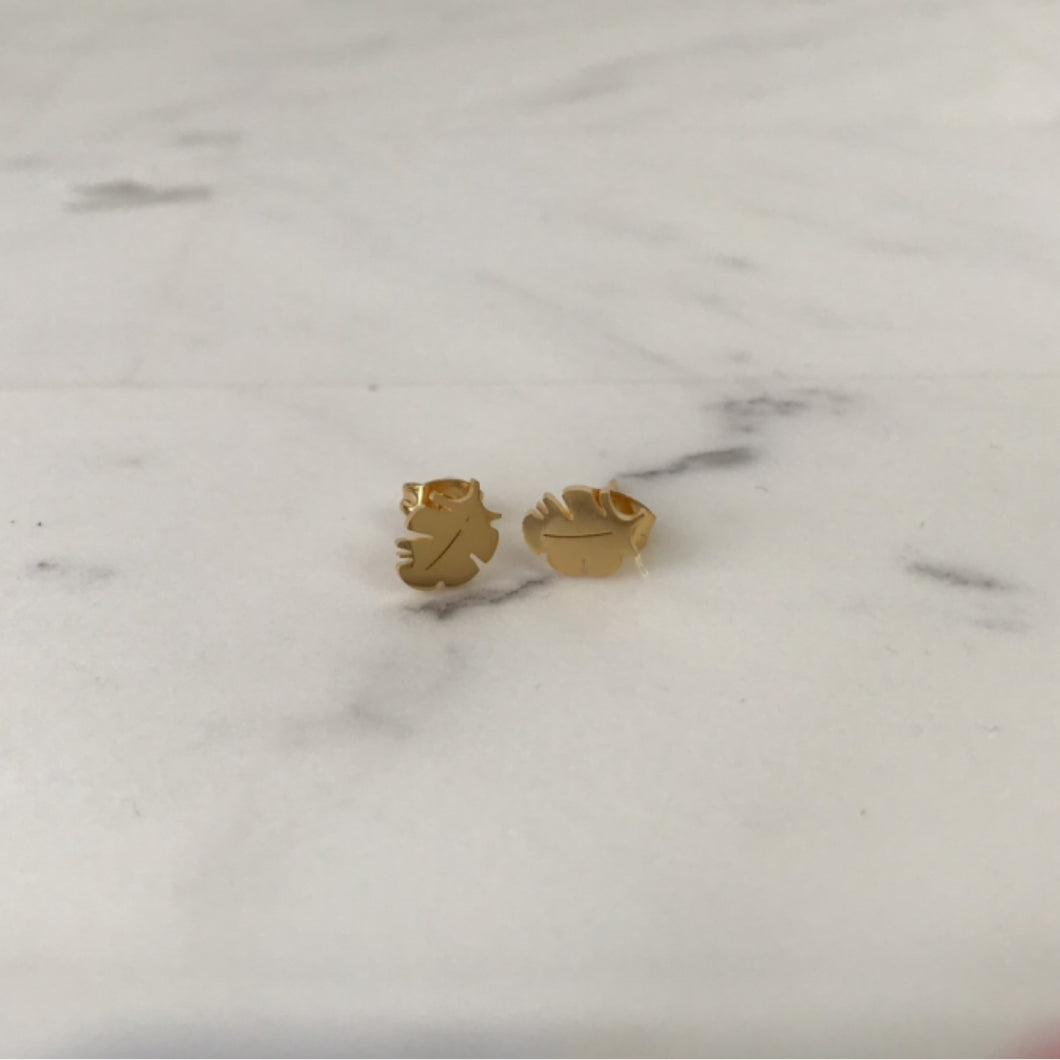 Leaf Studs Liquidación